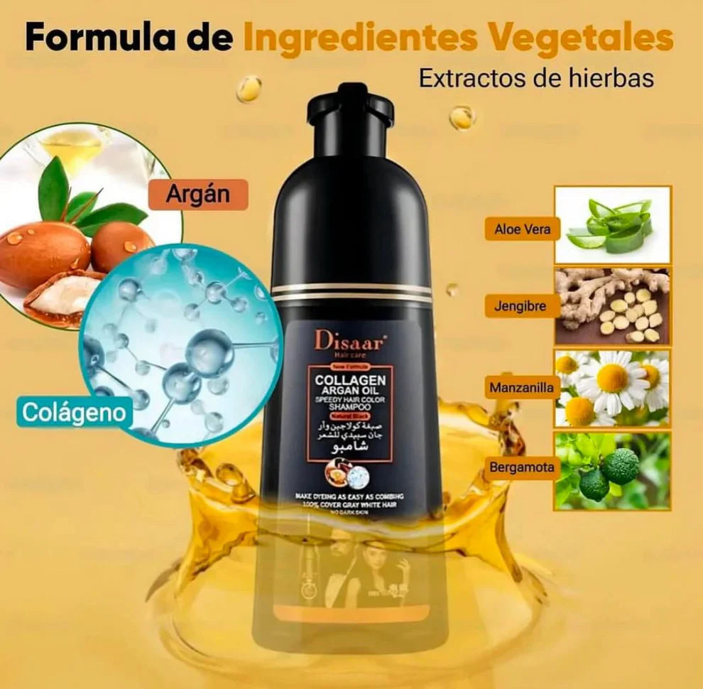 Ingredientes naturales del shampoo pinta canas Dissar: argán, colágeno, aloe vera, jengibre