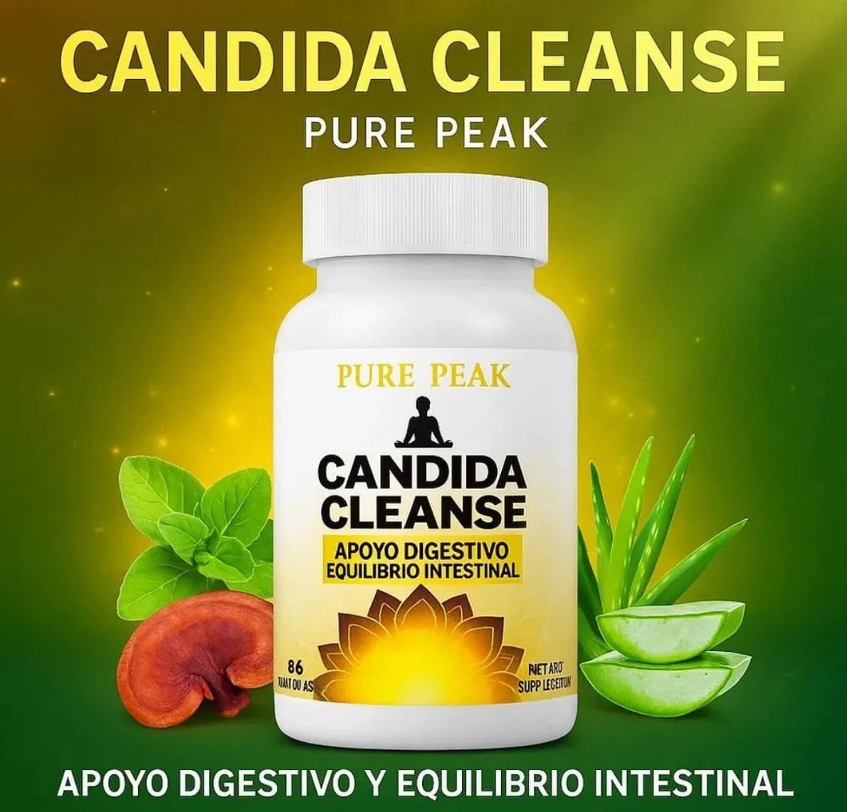Candida Cleanse ingredientes naturales apoyo digestivo y equilibrio intestinal